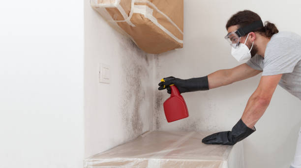 Professional Bathroom Mold Removal technician working in Hilltown, PA