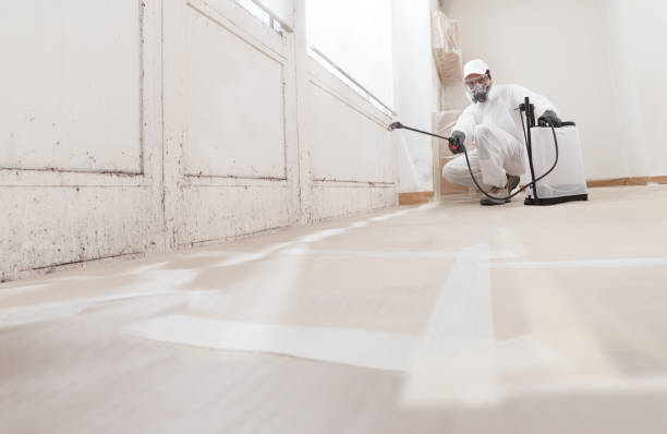 24/7 Emergency Bathroom Mold Removal experts in Hilltown, PA